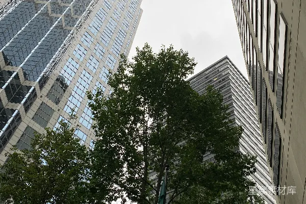 高清摄影 两栋高大的建筑物并排相邻。
