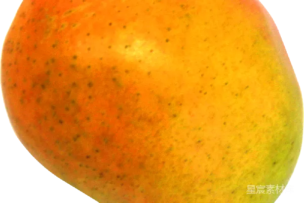 芒果