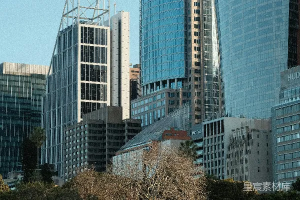 高清摄影 一个有很多树木和建筑物背景的公园。