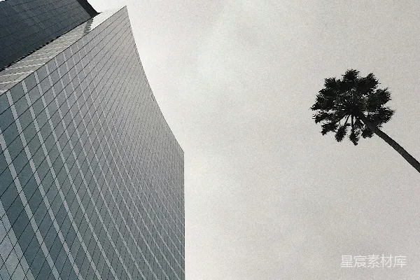 高清摄影 高楼靠近树木