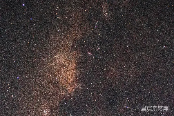 星夜下的绿树