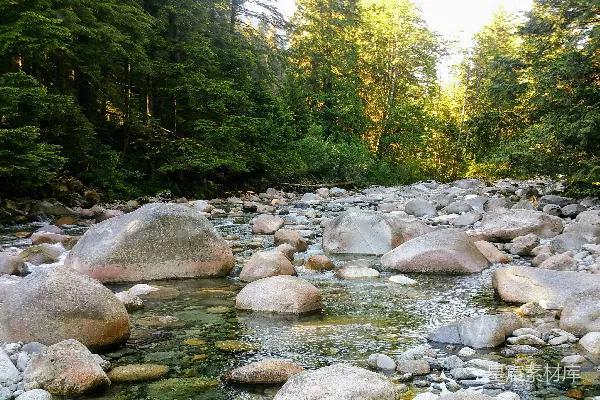 白天河岸边的灰岩 rock 在河岸上的白天呈现出灰色