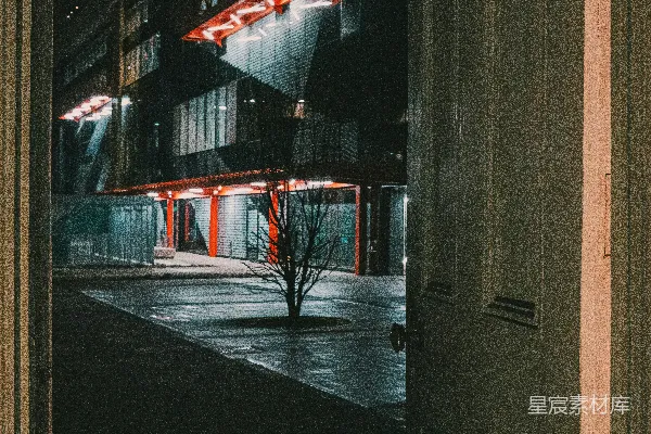 高清摄影 夜晚的黑白建筑