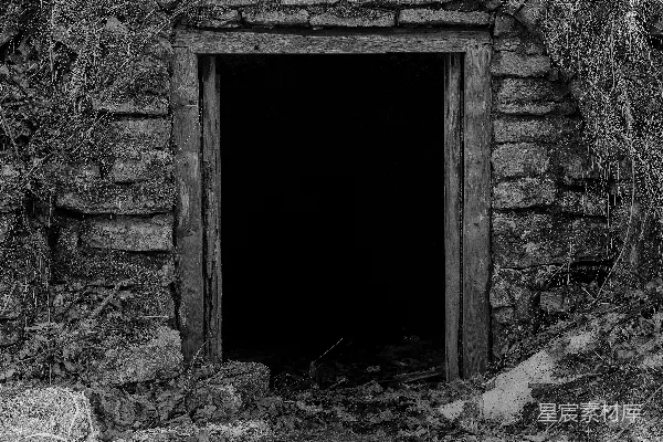 高清摄影 一张黑白照片，展示了一个洞穴。