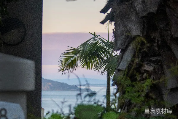 高清摄影 通过拱门看到棕榈树和海景。