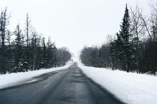 两边都是树木的雪路