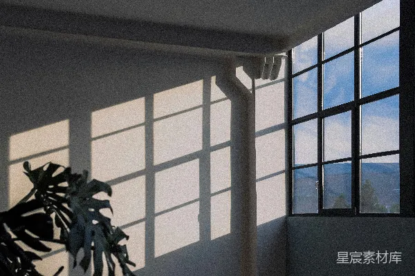 高清摄影 白墙特写摄影