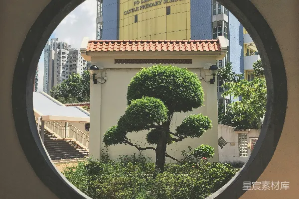 高清摄影 棕色和白色的混凝土建筑