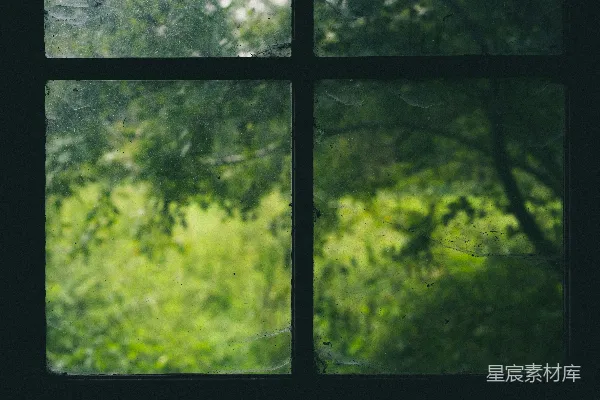 高清摄影 树木和黑色窗栅