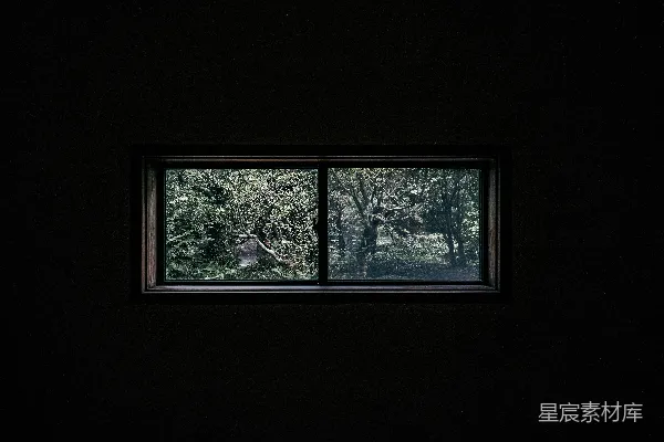 高清摄影 黑暗房间中的一扇窗，外面是树木。