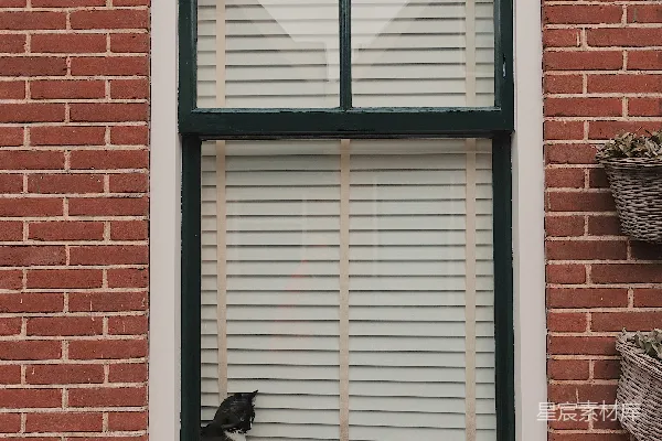 高清摄影 窗台上的猫