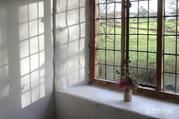 高清摄影 一个装有花的花瓶放在窗台上
