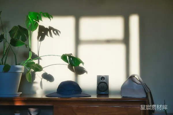 高清摄影 一张桌子上有一盆植物和一个扬声器。