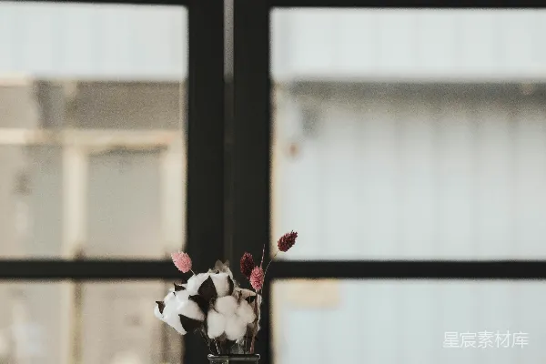 高清摄影 黑玻璃花瓶中的白红花朵