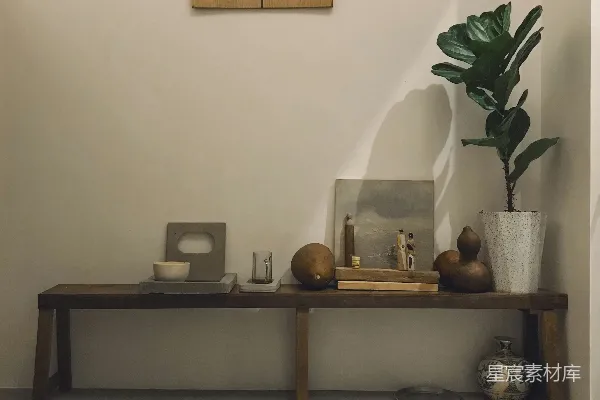 高清摄影 一张桌子上面放着一盆植物。