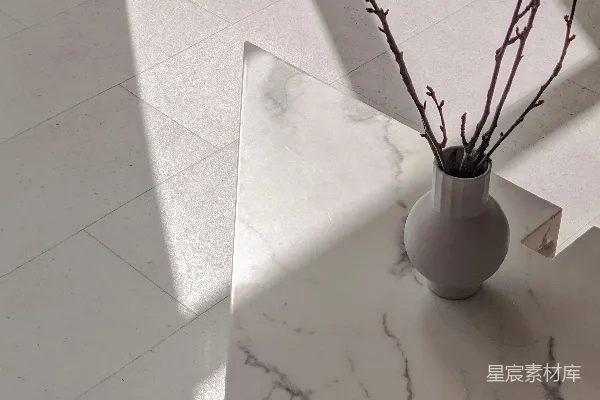 高清摄影 白色陶瓷花瓶搭配棕色植物