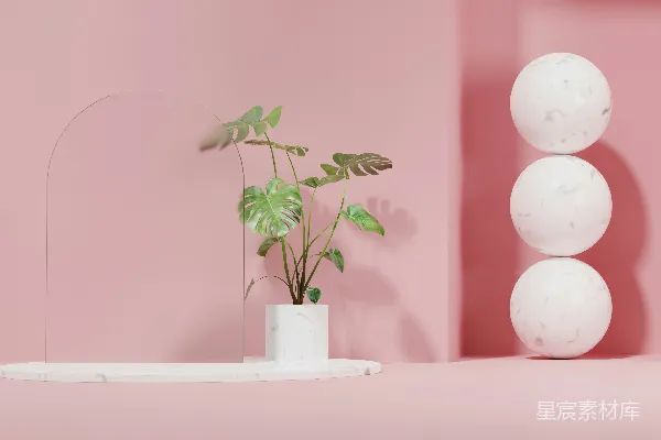高清摄影 一个粉红色的房间，里面有一株植物放在一个白色的花瓶里。