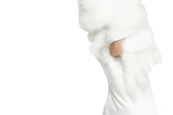 元素素材 新娘