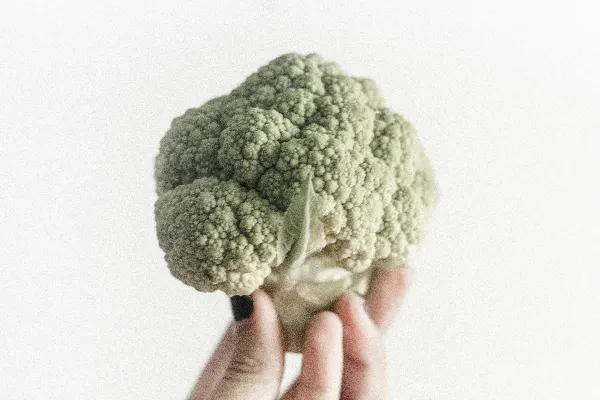 高清摄影 花椰菜