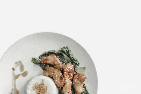 高清摄影 米饭炖肉