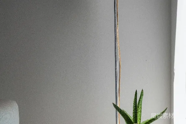 高清摄影 一张白色的桌子上放着一株植物和一盏灯。