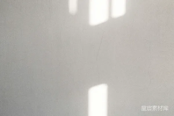 高清摄影 一张黑白照片，背景是一面白色的墙。
