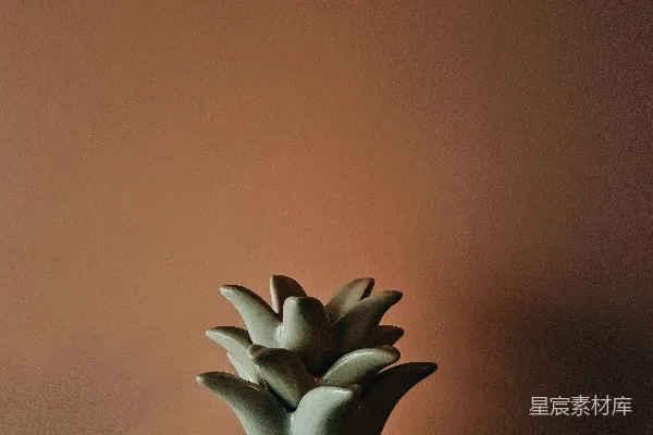 高清摄影 白色和黑色菠萝摆件