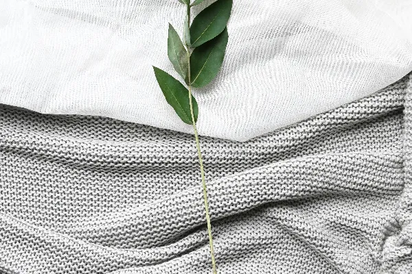 高清摄影 一株植物从床的顶部生长出来。