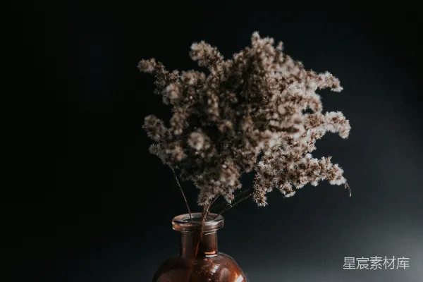 高清摄影 棕色玻璃瓶中的白色花朵