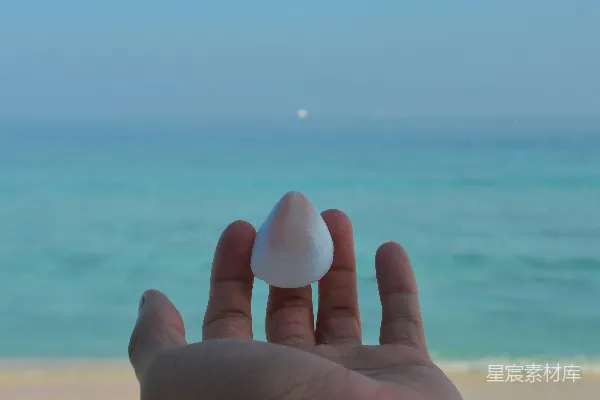 一只手拿着一个小白色物体，放在一片水域前。