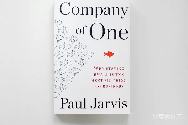 高清摄影 《独自一人的公司》（Company of One）一书的复印件