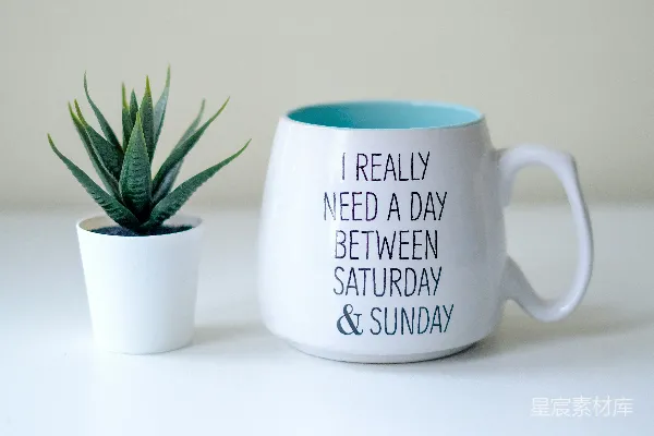 高清摄影 一个里面放着植物的杯子，它旁边还有一个杯子。