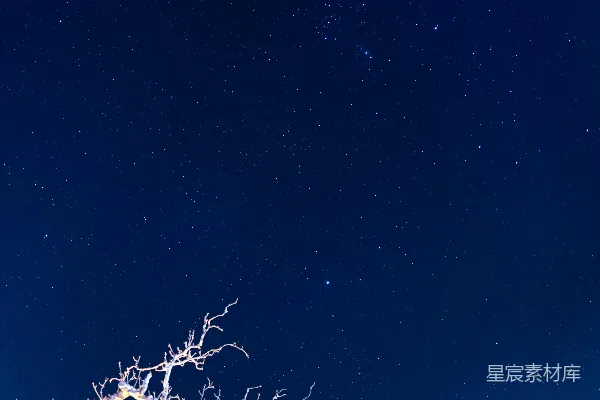 满天星斗和一根树杈