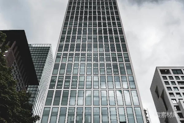 一座有许多窗户的非常高大的建筑