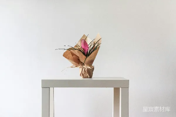 高清摄影 桌上的花束