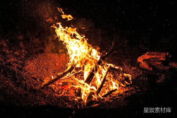 在棕色土壤上焚烧干木柴