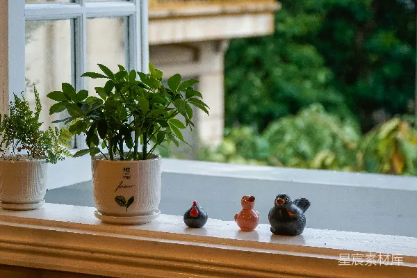 高清摄影 窗台上摆放着盆栽植物和小雕像。