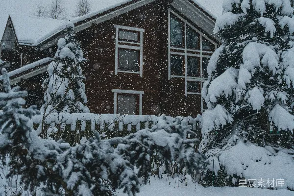 一座木屋周围长满了覆雪的树木。