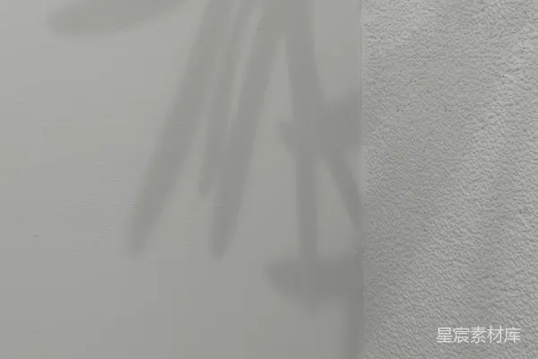 高清摄影 手影和植物的影子在墙上