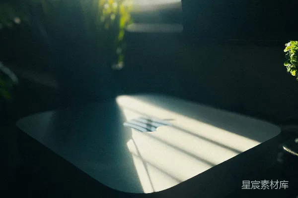 高清摄影 一株植物静坐于黑暗房间的桌子上。