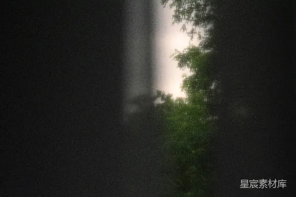 高清摄影 树木、天空的裂缝，以及深邃的阴影。