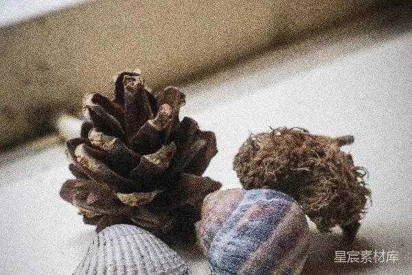 高清摄影 窗户旁有四个贝壳。