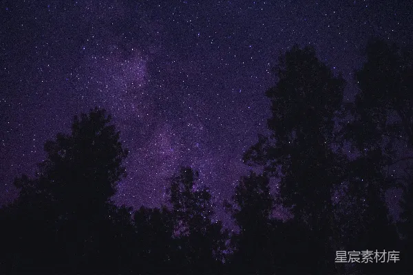 天上的树和星星