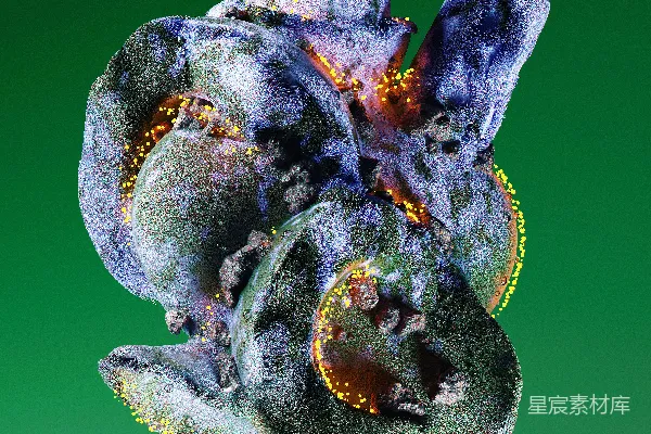 高清摄影 一株植物的特写镜头，背景是绿色。