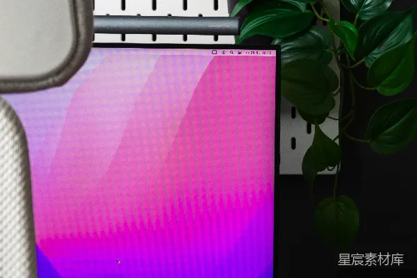 高清摄影 显示器屏幕上有一株植物的图案。