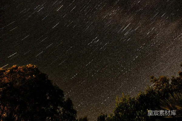 夜空布满了星辰和树木