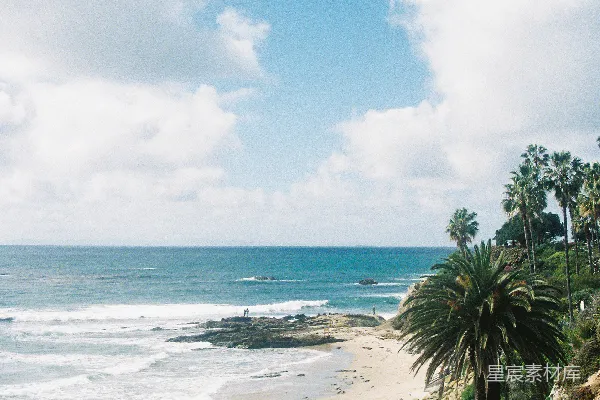 一对人在近棕榈树的沙滩上行走。