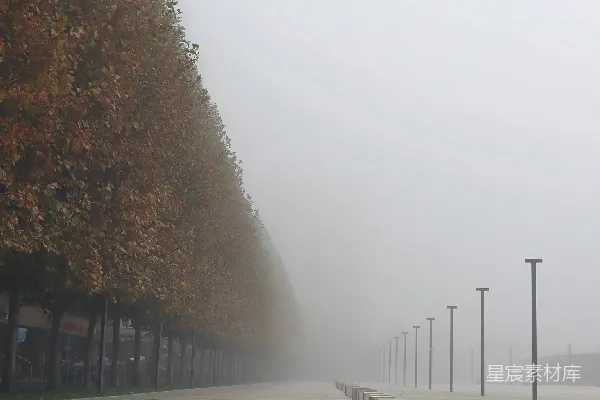 一排长凳旁边是一排树木