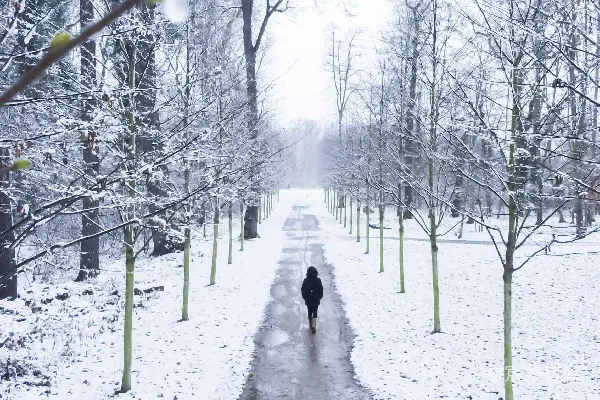 白天一个人走在覆盖着积雪的小径上