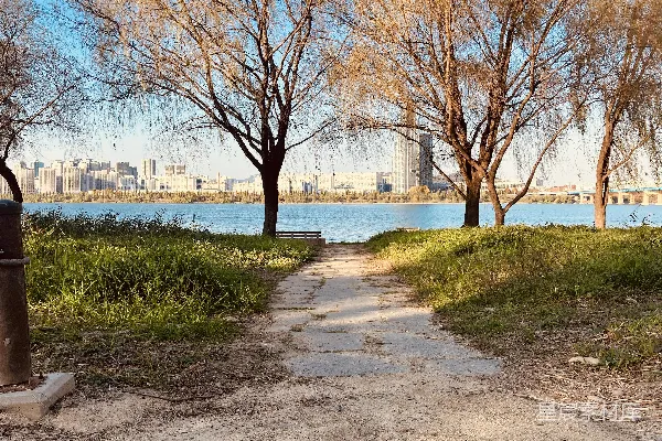 高清摄影 一条泥土小径，背景中有树木和一片水域。